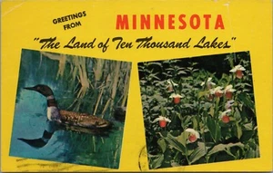 Postcard Minnesota Land Of Ten Thousand Lakes LoonChrome #D10 - Picture 1 of 2