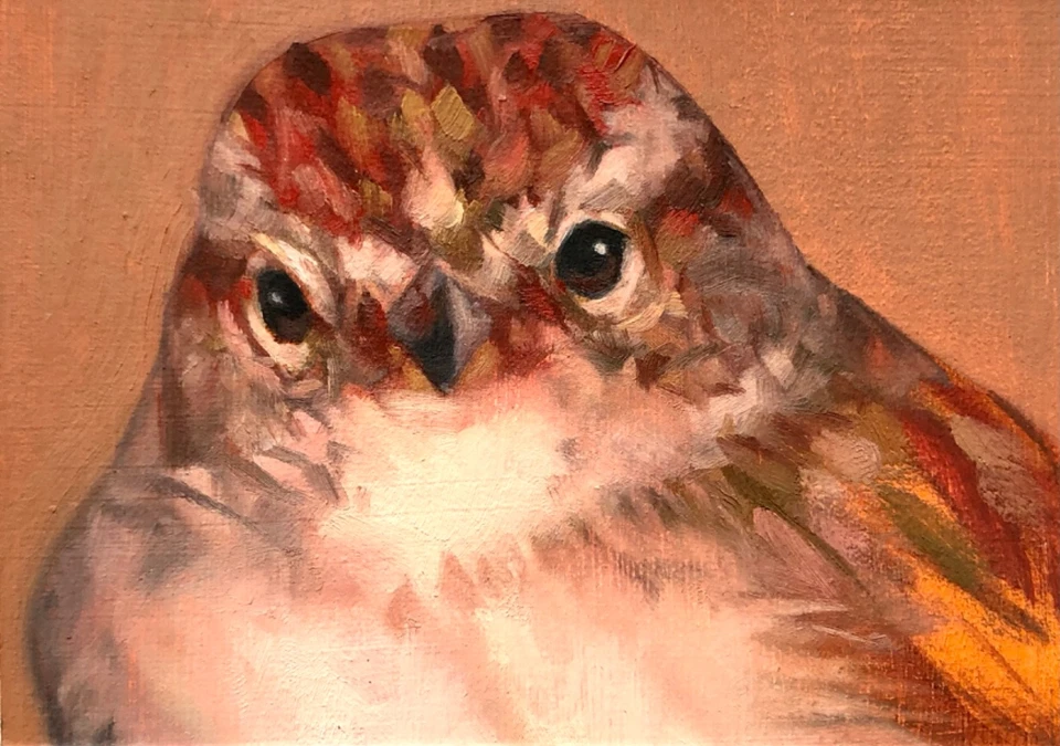 Pintura al óleo original ACEO century_wild “Sparrow Study with Limited Palette” Foto 1 de 1