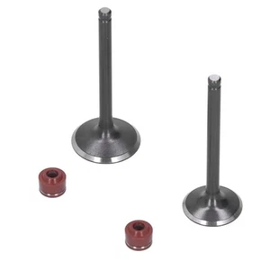 Engine Head Intake Exhaust Valve Intake Exhaust Valve Kit Hard Steel Alloy - Picture 1 of 17