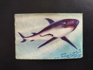 FIGURINA FORESTA MISTERIOSA LAMPO 1957 n 328 OTTIMA DA RECUPERO - Foto 1 di 2