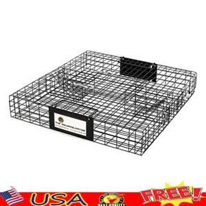 Heavy Duty Squirrel Trap Folding Live Animal Catch & Release Cage Trap US - Picture 1 of 7