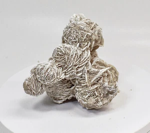 4.64" DESERT ROSE SELENITE Gypsum Cluster Mexico T465 - Picture 1 of 6