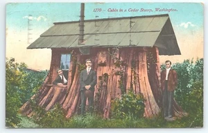 Postkarte Hütte in einem Zedernstumpf Washington verschickt 1913 Snohomish - Bild 1 von 2