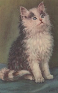 Gatto grigio e bianco firmato dall'artista gattino animale n. Cartolina Alma 324 - Foto 1 di 2