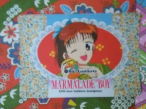 MARMALADE BOY  VENDING AMADA  CARDDASS TRADING CARD 36 - Picture 1 of 2