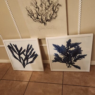 S/2 Cerámica Granero Indigo Coral Galería Marco Madera Impresión Náutica Foto 1 de 4