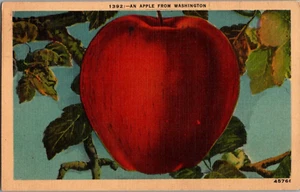 AK Ein Apfel aus Washington Leinen gestempelt 1945 - Bild 1 von 2