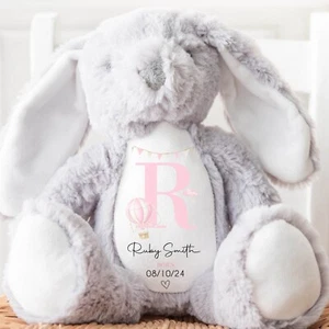 Personalised New Baby Teddy, New Baby Boy Gift | Personalised Girl New Baby Gift - Picture 1 of 5