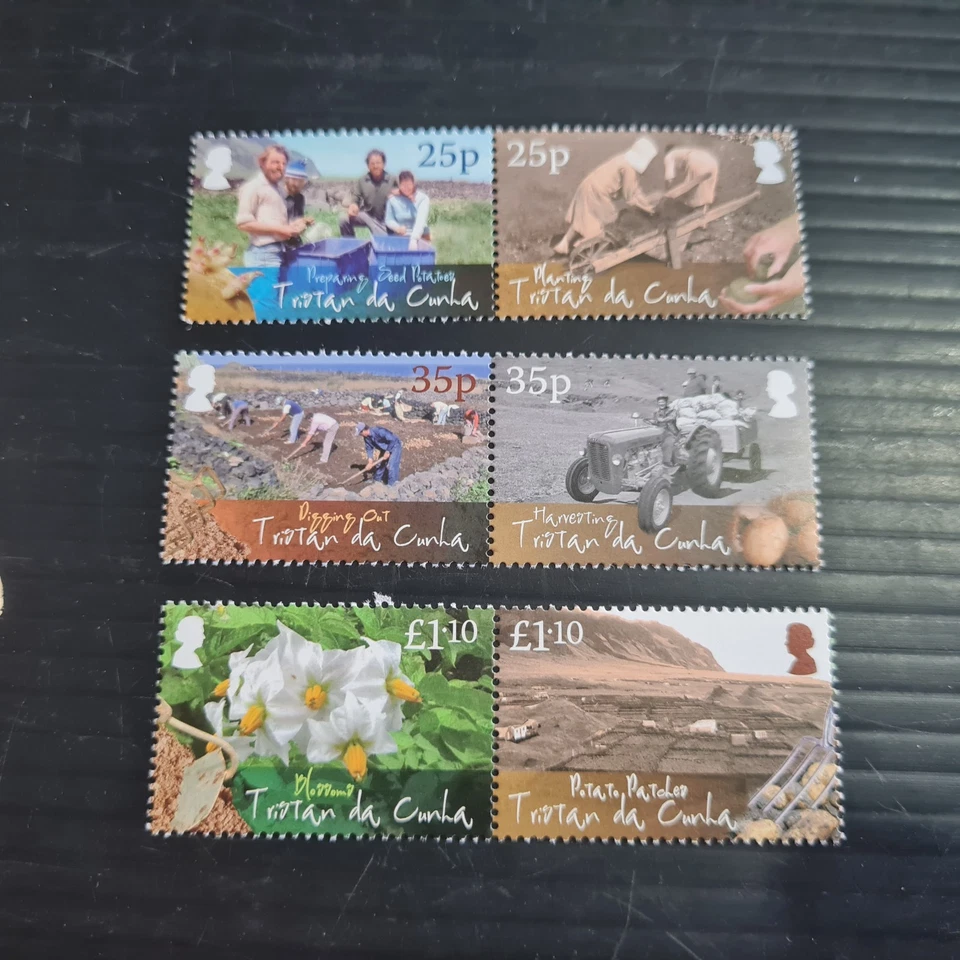 TRISTAN DA CUNHA 2009 SG 950-955 PRODUCCIÓN DE PAPA MNH Foto 1 de 1