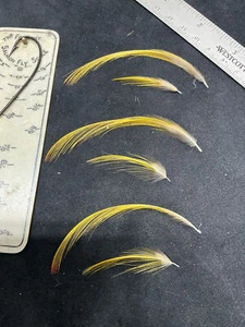 Large Toppings and tails Golden Pheasant Ronn Lucas - Picture 1 of 3