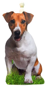 Jack Russell Kitchen Roll Holder - Jack Russells - Jack Russell Gift D7b-KRH - Picture 1 of 2