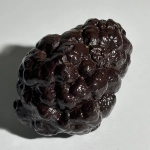 86g Limonite & Hematite pseudomorph after Marcasite - Prophecy Stone - Picture 1 of 16