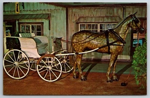 1900 Ladies Basket Phaeton by Healey & Co., Vintage Postcard - Picture 1 of 2