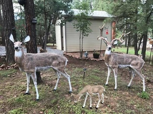 Realistic Looking Family of Deer Aluminum Statues in Natural Color - Picture 1 of 4
