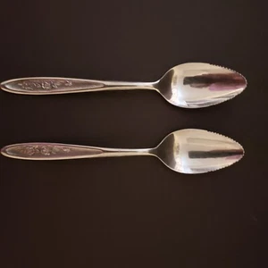 Cuchara de pomelo de acero inoxidable Ekco Eterna 6,25 pulgadas Country Garden - Imagen 1 de 4