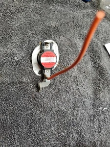 Fusible de colección + Repuesto mástil ALAMBRE Parte # 3399693 Fusible de secadora - Envío gratuito - Imagen 1 de 1
