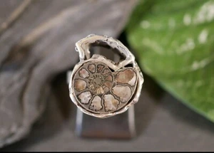 Encantador anillo de plata 835 pequeño amonita caracol arqueología brutalista - Imagen 1 de 8