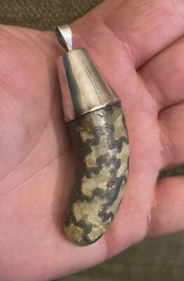 OFERTA Maravilloso Dorset Eoderoceras Pirita/Calcita Amonita Colgante Plata 925 Foto 1 de 4