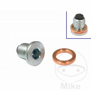 TAPPO SCARICO OLIO M14X1.50 723.10.37 FOR TRIUMPH SCRAMBLER 1200 BOND 2021-2021 - Imagen 1 de 1