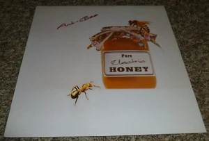 ANT-BEE 33 RPM LP PURE ELECTRIC HONEY PSYCH EXPERIMENTAL VOXX 1990 - Foto 1 di 6