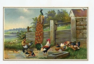 SCHÖNIAN Illustrator. Bauernhoftiere. Hühner, Hahn, Pfau - Bild 1 von 2