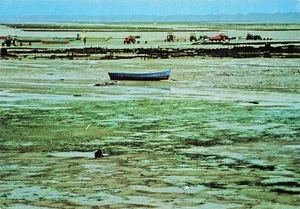 METIERS LES BOUCHOLEURS - Bild 1 von 2