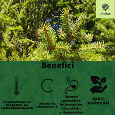 Aghi di pino per tisane 100%naturali (confezione da 0.25kg)