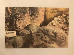 Postcard NM: Baby Hippo, Carlsbad Caverns, New Mexico, Vintage Linen - Picture 1 of 2