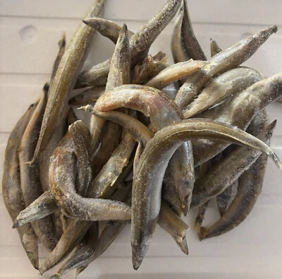 Frostfutter Sandaale 1Kg für Aquarien , Reptilien ,Angelköder - Bild 1 von 3