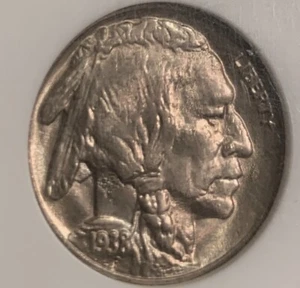 1938 D BUFFALO NICKEL - NGC MS 66 (OLDER HOLDER) - Picture 1 of 4