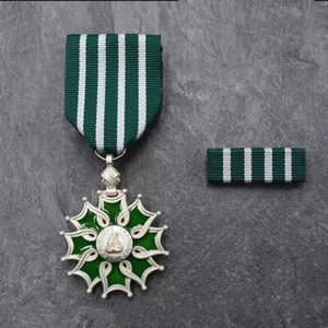 Top Quality the European French Legion of Arts And Letters Officer leveL Badge - Picture 1 of 6