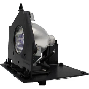 AL™ Series Lamp & Housing for The GE HD61LPW175 TV - 90 Day Warranty - Picture 1 of 5