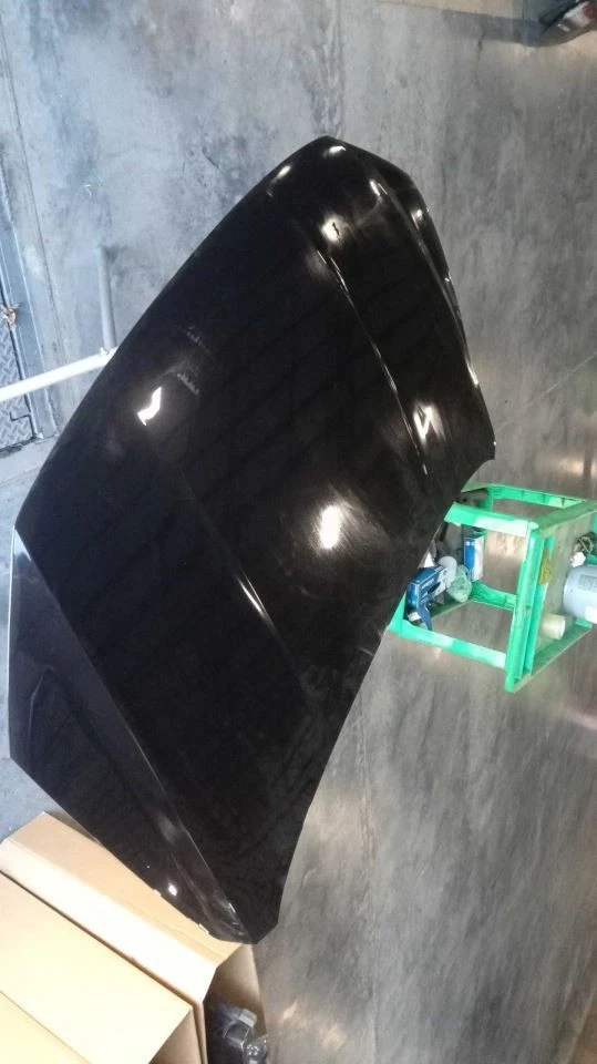 Hood Fits 16-19 PASSAT 519539 - Image 1 of 1