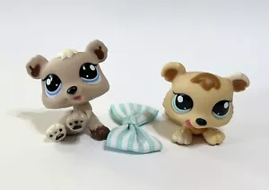 Littlest Pet Shop Petriplets #1554 & #1555 Bär - Bild 1 von 7