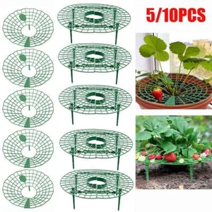 5/10PCS Strawberry Stand Frame Holder Balcony Planting Rack Fruit Support Stand - Picture 1 of 12