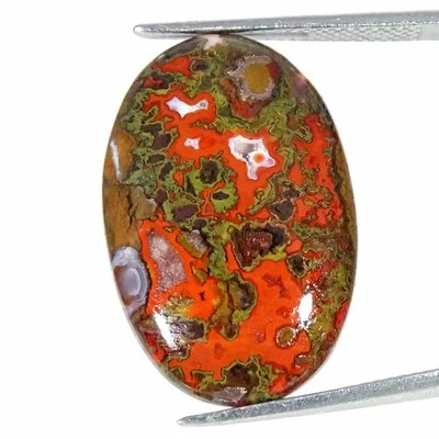13.20Cts Natural Morocco Seam Agate Oval Cabochon Loose Gemstone 16x24x4mm - Image 1 of 4