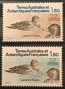 FRENCH ANTARCTIC TERRITORIES - 1983 PINTAIL DUCKS NHM SET SG 172-173 - Picture 1 of 1