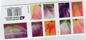 2023 Forever Tulip Blossoms booklet of 20 Scott #5786b, Mint NH - Picture 1 of 1