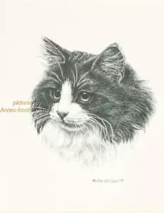#223 LONG HAIR Black & White CAT art print * Pen and ink drawing by Jan Jellins - Picture 1 of 1