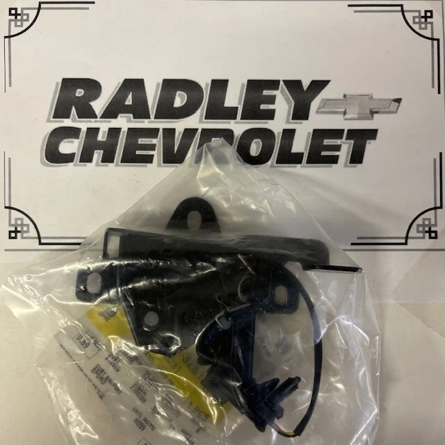 NUEVO GM OEM 08-15 CAPTIVA SPORT, COMPONENTES CAPÓ PARRILLA - CONJUNTO DE PESTILLO GMC 95443281 Foto 1 de 1