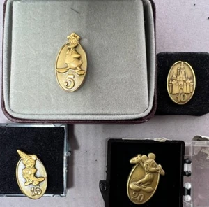 Disney cast member service award pins 5, 10, 15, 20 years - Picture 1 of 5