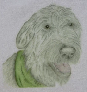 Wolfhound and Deerhound Designs T-Shirt und Sweatshirts Größen 3-6 Monate bis XXL - Bild 1 von 4