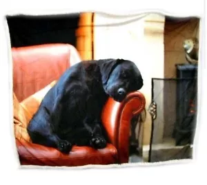 Sleeping Labrador Throw | Dog Print Fleece Lined Throw For Sofa, Bed - Picture 1 of 2