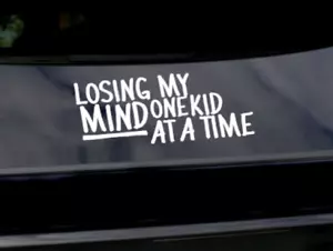 Losing My Mind Fun Mum Vinyl Decal Sticker Car Laptop Fun Mothers Day Gift Mom - Bild 1 von 7