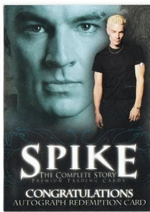 Spike The Complete Story Inkworks 2005 Redemption Card AR-1 Juliet Landau Clean - Picture 1 of 3