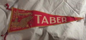 Castoro vintage Taber Canada full size pennant feltro lana - Foto 1 di 4
