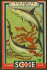 R26 Goudey Chewing Gum, Boy Scouts, 1933, No 22, Sharks
