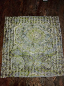 1 Pottery Barn Adrianna Paisley Medallion Cotton Sateen Quilted Euro Sham 26x27" - Picture 1 of 9