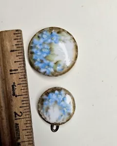 botones antiguos de porcelana victoriana pintados a mano - Imagen 1 de 2