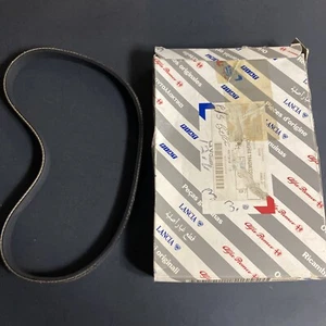 60566058 Power Steering Drive Belt 1991-1993 Alfa Romeo 164 3.0L V6 - Original - Picture 1 of 5